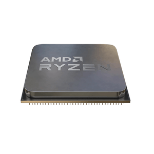 AMD Ryzen 5 5500 3.6GHz Socket AM4 65W Procesador | Tiendas de APP